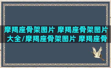 摩羯座骨架图片 摩羯座骨架图片大全/摩羯座骨架图片 摩羯座骨架图片大全-我的网站